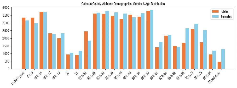 Bar chart showing the population distribution of Calhoun County, Alabama by age group and gender, based on 2023 ACS data.