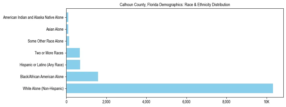 Race and Ethnicity Distribution Chart for Calhoun County, Florida