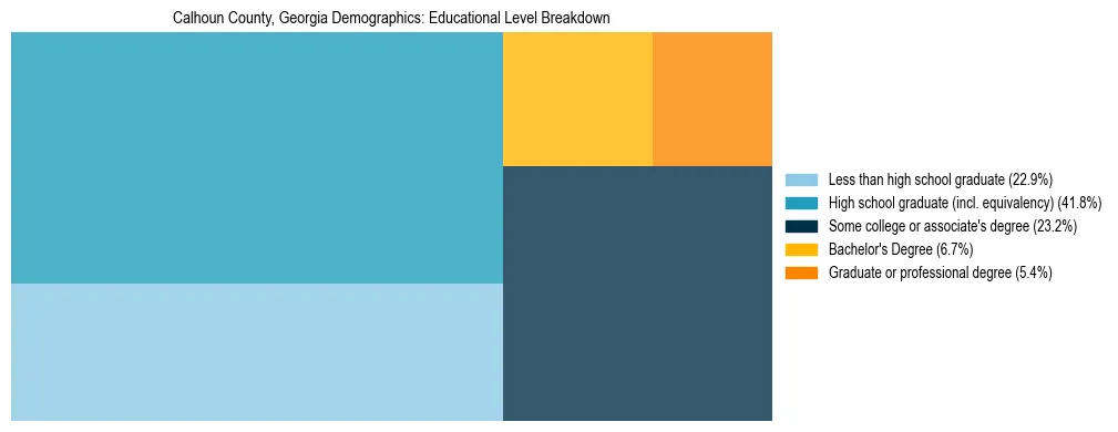 Treemap chart illustrating the educational attainment breakdown for population 25 years and over in Calhoun County, Georgia.