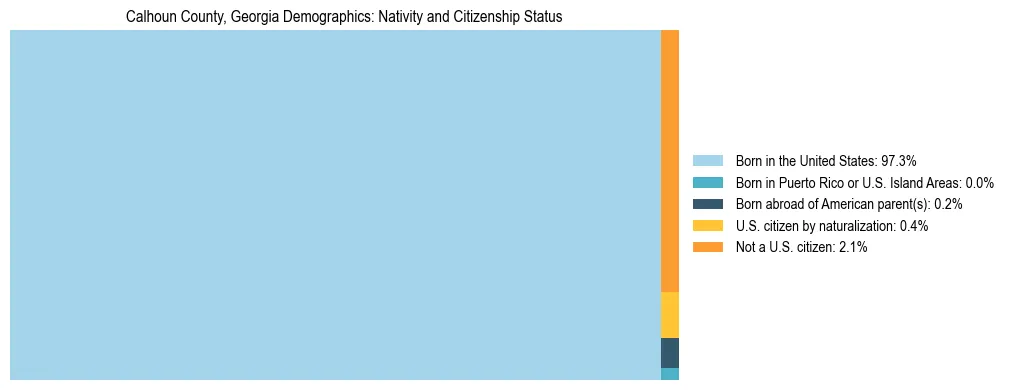 Treemap showing the population distribution by nativity and citizenship status in Calhoun County, Georgia based on U.S. Census data.