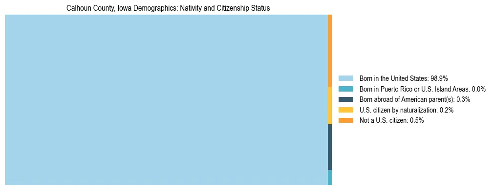 Treemap showing the population distribution by nativity and citizenship status in Calhoun County, Iowa based on U.S. Census data.