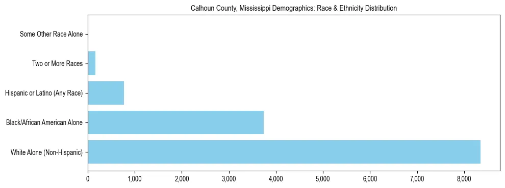 Race and Ethnicity Distribution Chart for Calhoun County, Mississippi