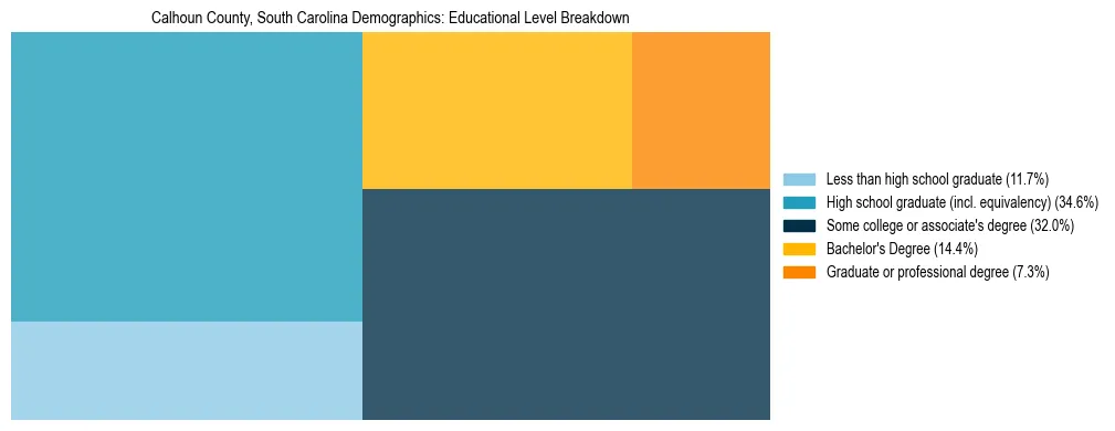Treemap chart illustrating the educational attainment breakdown for population 25 years and over in Calhoun County, South Carolina.