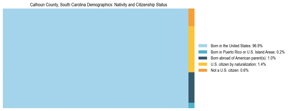 Treemap showing the population distribution by nativity and citizenship status in Calhoun County, South Carolina based on U.S. Census data.
