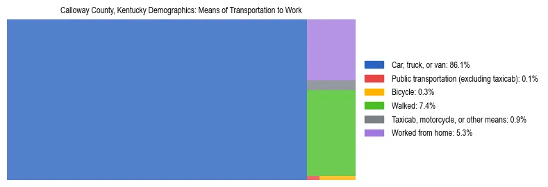 Treemap showing means of transportation to work distribution in Calloway County, Kentucky.