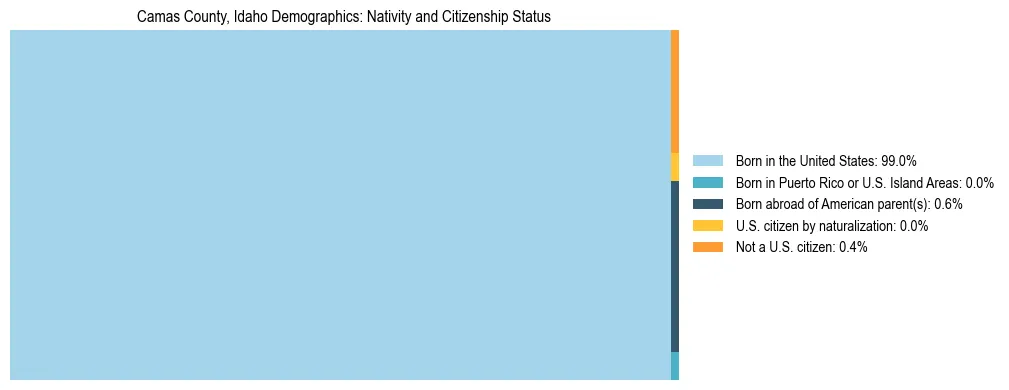 Treemap showing the population distribution by nativity and citizenship status in Camas County, Idaho based on U.S. Census data.
