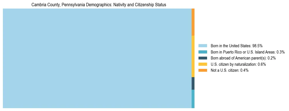 Treemap showing the population distribution by nativity and citizenship status in Cambria County, Pennsylvania based on U.S. Census data.