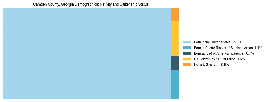 Treemap showing the population distribution by nativity and citizenship status in Camden County, Georgia based on U.S. Census data.