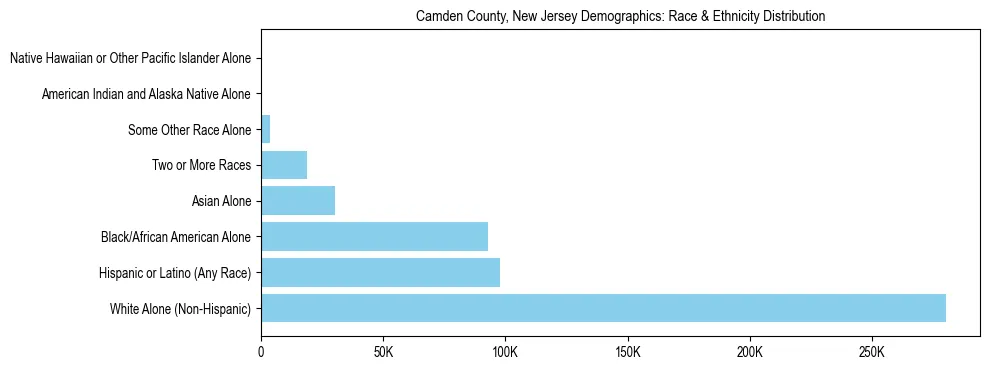 Race and Ethnicity Distribution Chart for Camden County, New Jersey