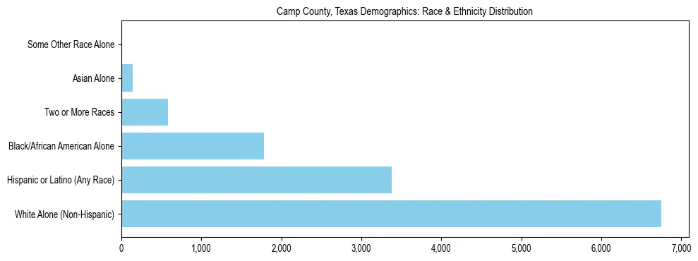 Race and Ethnicity Distribution Chart for Camp County, Texas