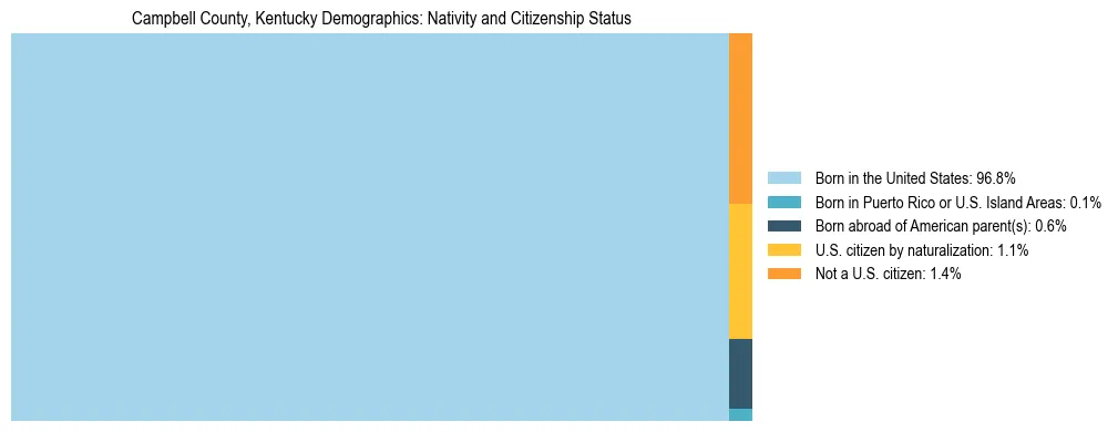 Treemap showing the population distribution by nativity and citizenship status in Campbell County, Kentucky based on U.S. Census data.