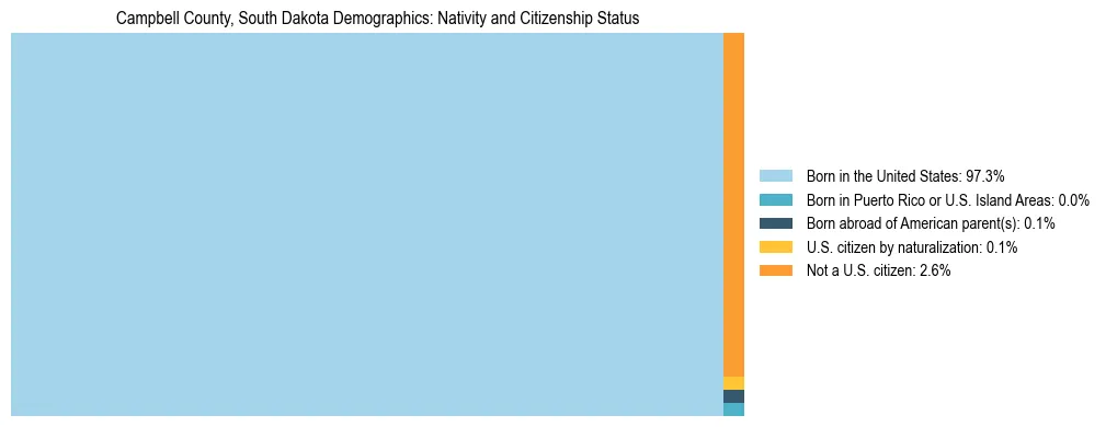 Treemap showing the population distribution by nativity and citizenship status in Campbell County, South Dakota based on U.S. Census data.