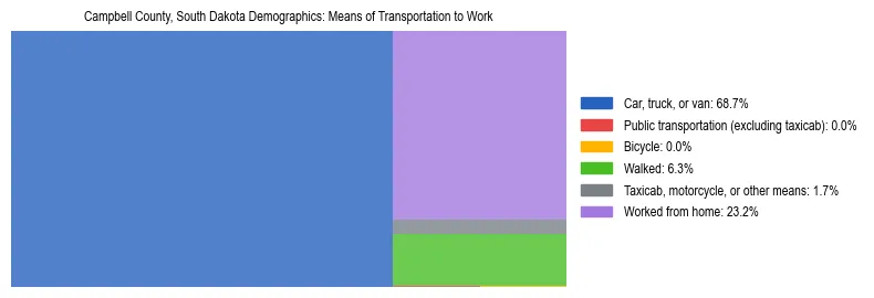 Treemap showing means of transportation to work distribution in Campbell County, South Dakota.