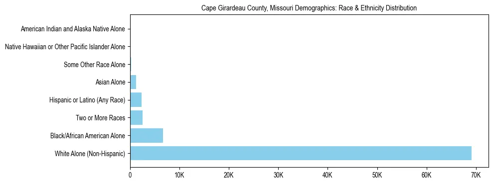 Race and Ethnicity Distribution Chart for Cape Girardeau County, Missouri