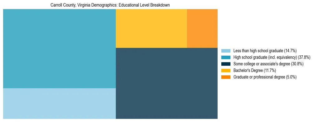 Treemap chart illustrating the educational attainment breakdown for population 25 years and over in Carroll County, Virginia.