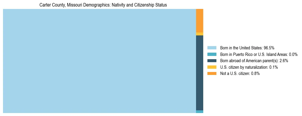 Treemap showing the population distribution by nativity and citizenship status in Carter County, Missouri based on U.S. Census data.
