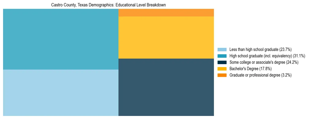 Treemap chart illustrating the educational attainment breakdown for population 25 years and over in Castro County, Texas.
