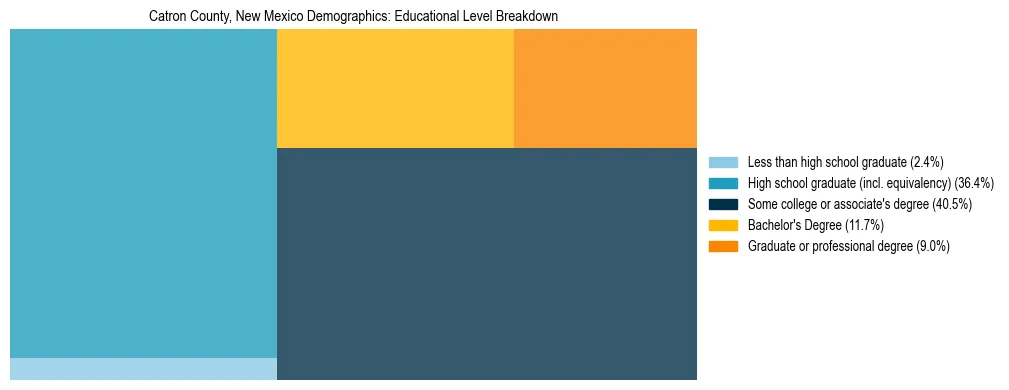 Treemap chart illustrating the educational attainment breakdown for population 25 years and over in Catron County, New Mexico.