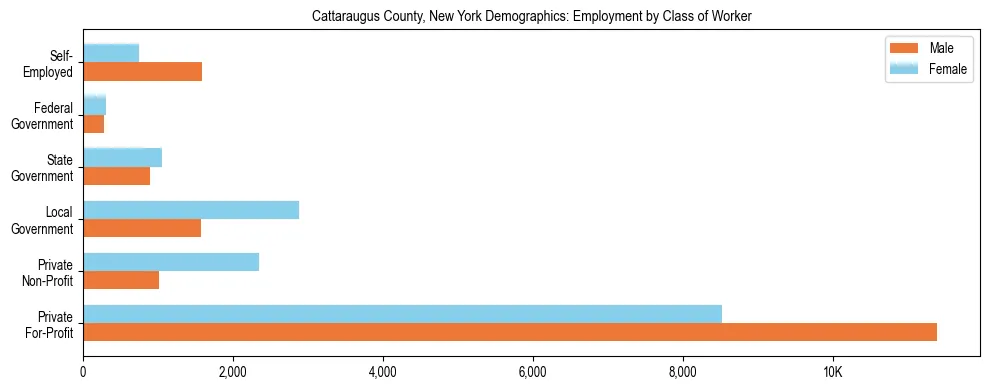 Horizontal bar chart showing employment distribution by class of worker and gender in Cattaraugus County, New York, based on 2023 ACS data.