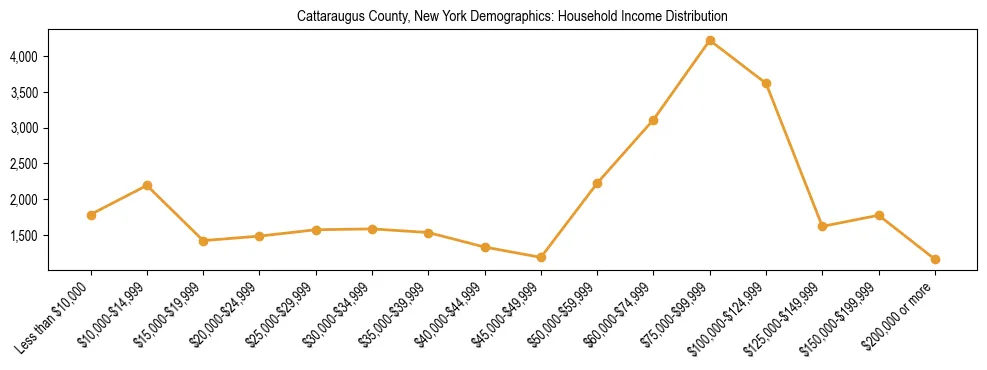 Horizontal bar chart showing household income distribution in Cattaraugus County, New York.