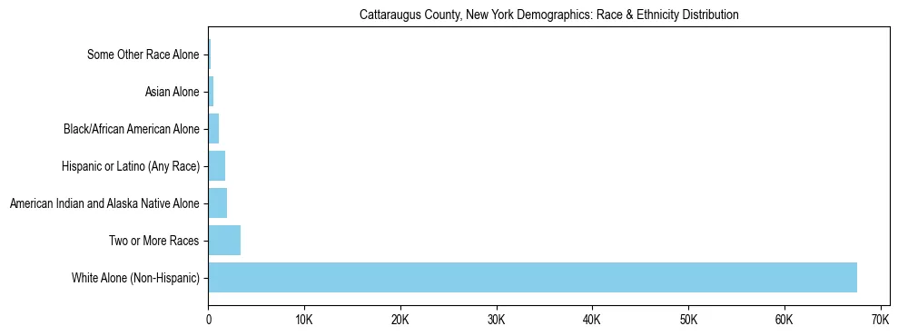 Race and Ethnicity Distribution Chart for Cattaraugus County, New York