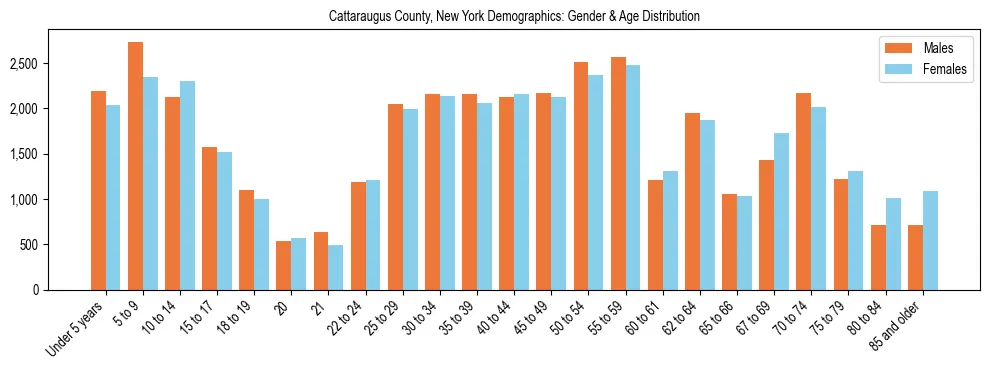 Bar chart showing the population distribution of Cattaraugus County, New York by age group and gender, based on 2023 ACS data.