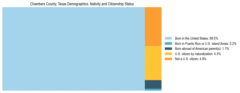 Treemap showing the population distribution by nativity and citizenship status in Chambers County, Texas based on U.S. Census data.