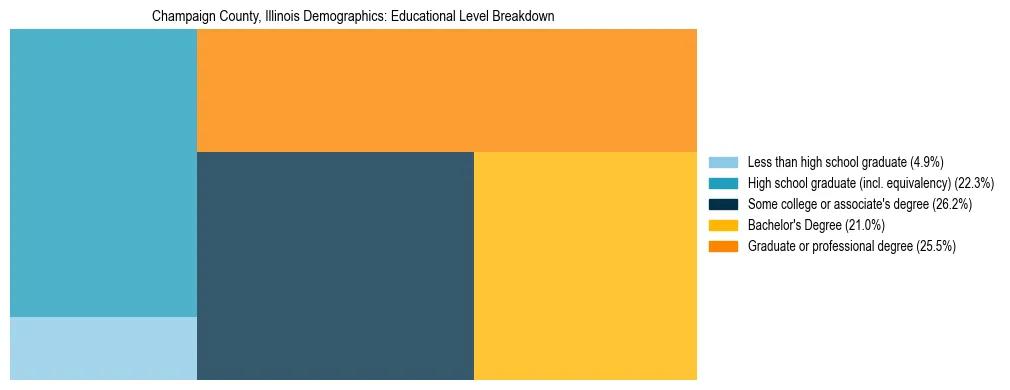 Treemap chart illustrating the educational attainment breakdown for population 25 years and over in Champaign County, Illinois.