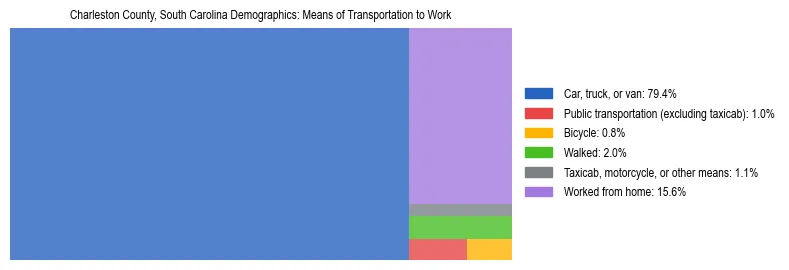 Treemap showing means of transportation to work distribution in Charleston County, South Carolina.