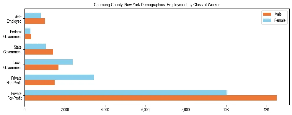 Horizontal bar chart showing employment distribution by class of worker and gender in Chemung County, New York, based on 2023 ACS data.
