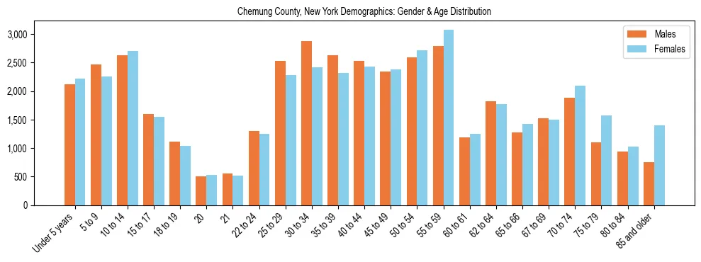 Bar chart showing the population distribution of Chemung County, New York by age group and gender, based on 2023 ACS data.
