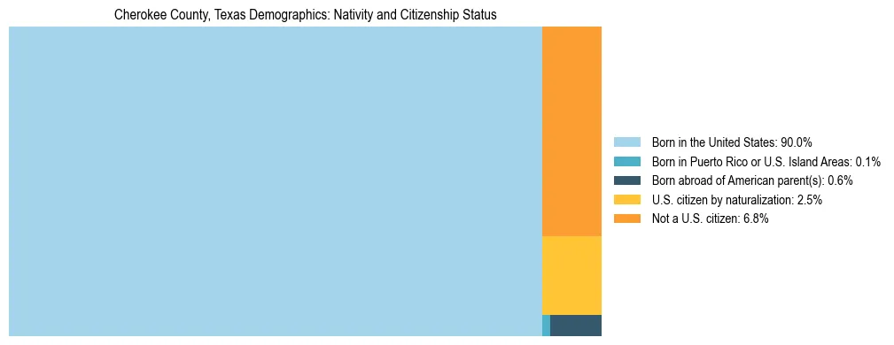 Treemap showing the population distribution by nativity and citizenship status in Cherokee County, Texas based on U.S. Census data.