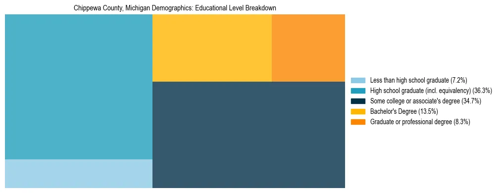 Treemap chart illustrating the educational attainment breakdown for population 25 years and over in Chippewa County, Michigan.