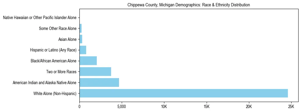 Race and Ethnicity Distribution Chart for Chippewa County, Michigan