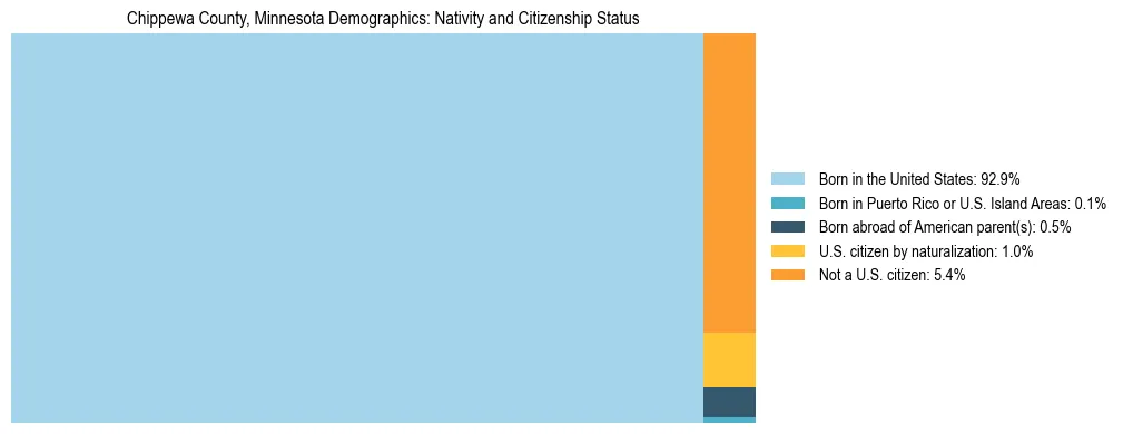 Treemap showing the population distribution by nativity and citizenship status in Chippewa County, Minnesota based on U.S. Census data.
