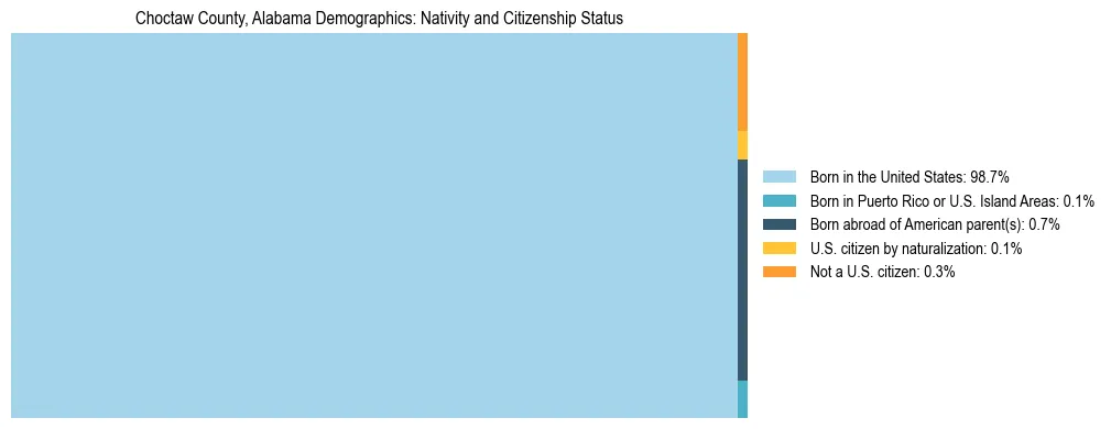 Treemap showing the population distribution by nativity and citizenship status in Choctaw County, Alabama based on U.S. Census data.