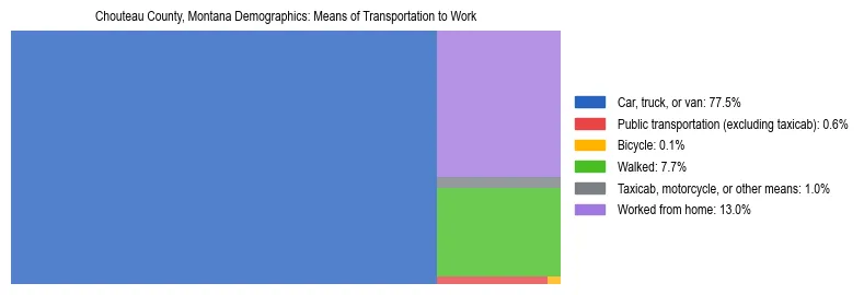 Treemap showing means of transportation to work distribution in Chouteau County, Montana.
