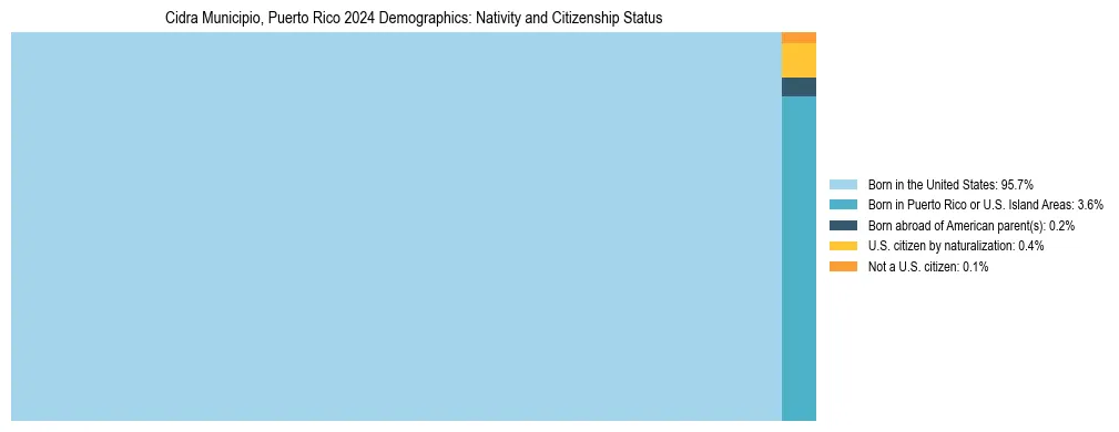 Treemap showing the population distribution by nativity and citizenship status in Cidra Municipio, Puerto Rico based on U.S. Census data.