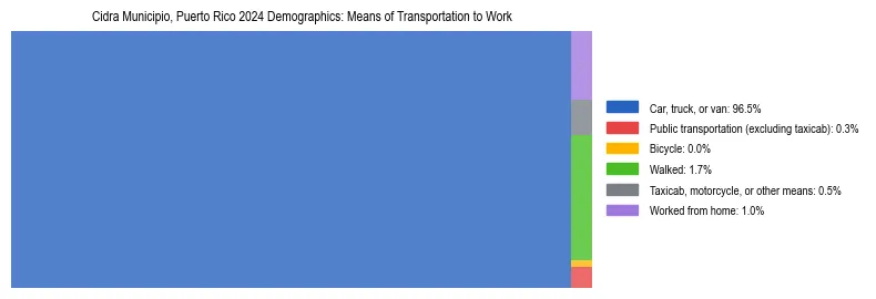 Treemap showing means of transportation to work distribution in Cidra Municipio, Puerto Rico.