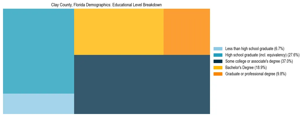 Treemap chart illustrating the educational attainment breakdown for population 25 years and over in Clay County, Florida.