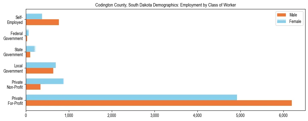Horizontal bar chart showing employment distribution by class of worker and gender in Codington County, South Dakota, based on 2023 ACS data.