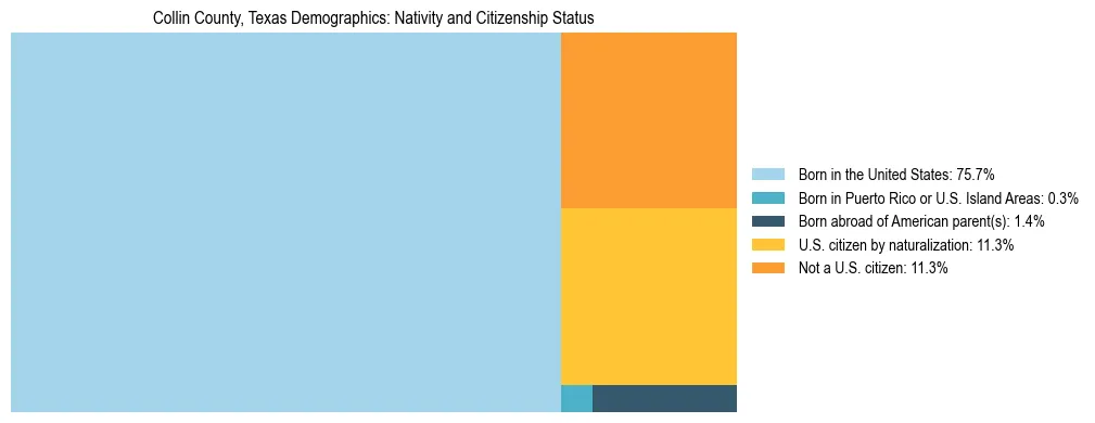 Treemap showing the population distribution by nativity and citizenship status in Collin County, Texas based on U.S. Census data.