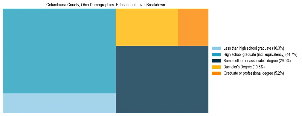 Treemap chart illustrating the educational attainment breakdown for population 25 years and over in Columbiana County, Ohio.