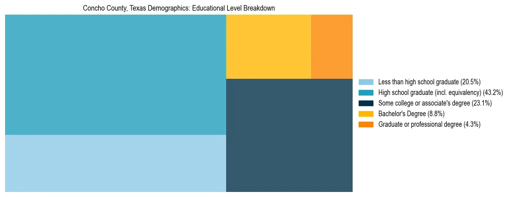 Treemap chart illustrating the educational attainment breakdown for population 25 years and over in Concho County, Texas.