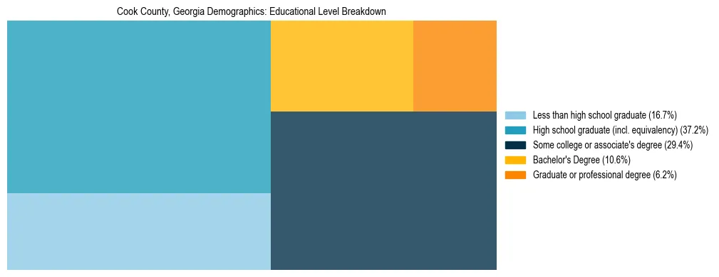 Treemap chart illustrating the educational attainment breakdown for population 25 years and over in Cook County, Georgia.