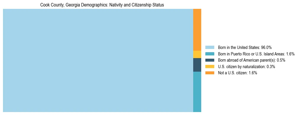 Treemap showing the population distribution by nativity and citizenship status in Cook County, Georgia based on U.S. Census data.