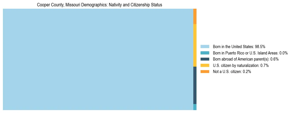 Treemap showing the population distribution by nativity and citizenship status in Cooper County, Missouri based on U.S. Census data.