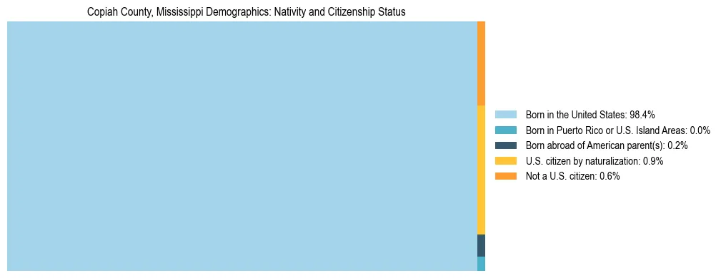 Treemap showing the population distribution by nativity and citizenship status in Copiah County, Mississippi based on U.S. Census data.