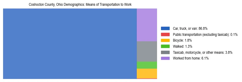 Treemap showing means of transportation to work distribution in Coshocton County, Ohio.