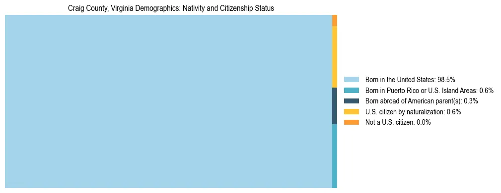 Treemap showing the population distribution by nativity and citizenship status in Craig County, Virginia based on U.S. Census data.
